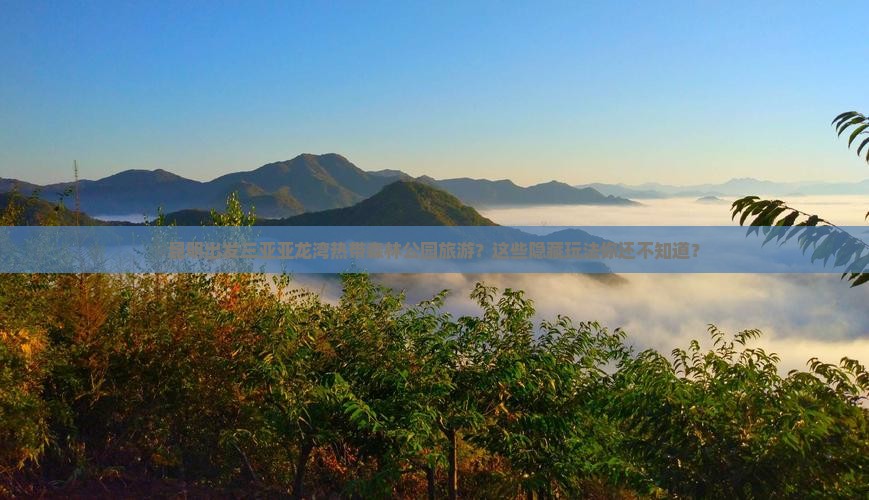 昆明出发三亚亚龙湾热带森林公园旅游