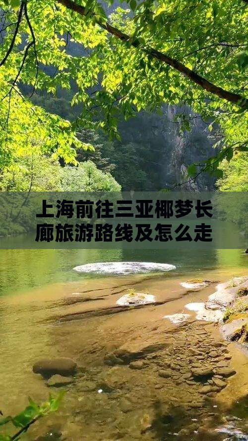 上海前往三亚椰梦长廊旅游