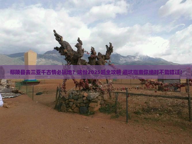 鄢陵县去三亚千古情必玩地