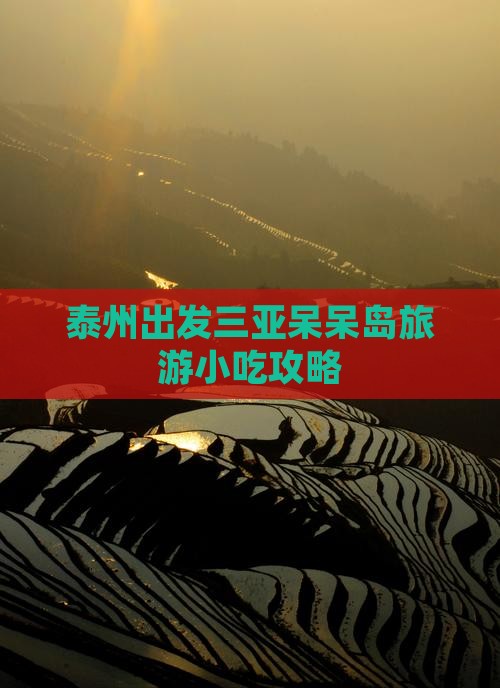 泰州出发三亚呆呆岛旅游小吃