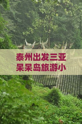 泰州出发三亚呆呆岛旅游小吃