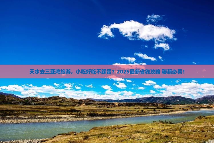 天水前往三亚三亚湾旅游小吃