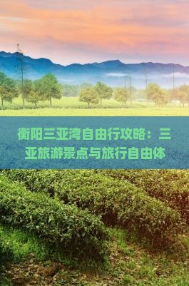 衡阳去三亚三亚湾自由行