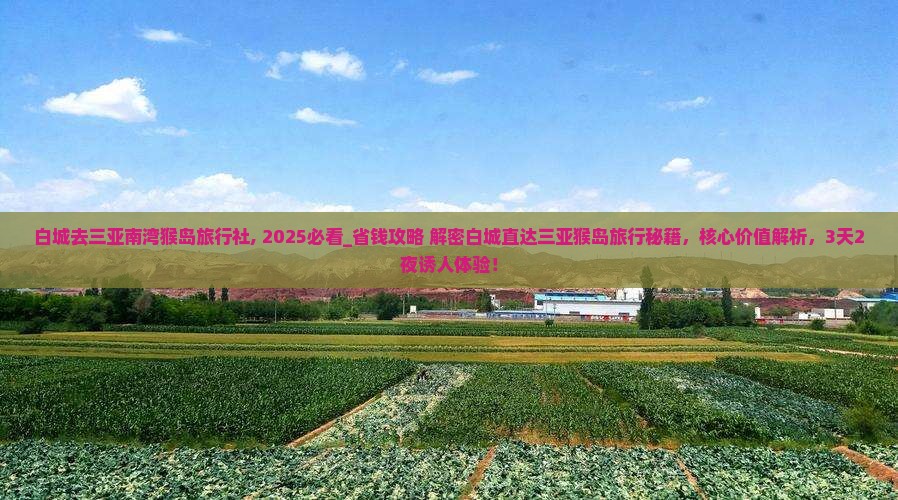 白城去三亚南湾猴岛旅行社