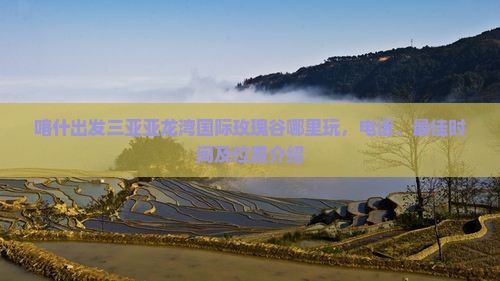 喀什出发三亚亚龙湾国际玫瑰谷哪里玩