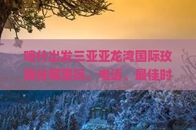 喀什出发三亚亚龙湾国际玫瑰谷哪里玩
