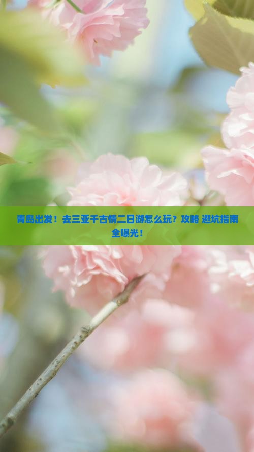 青岛去三亚千古情二日游