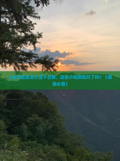 思茅出发三亚千古情旅游小吃