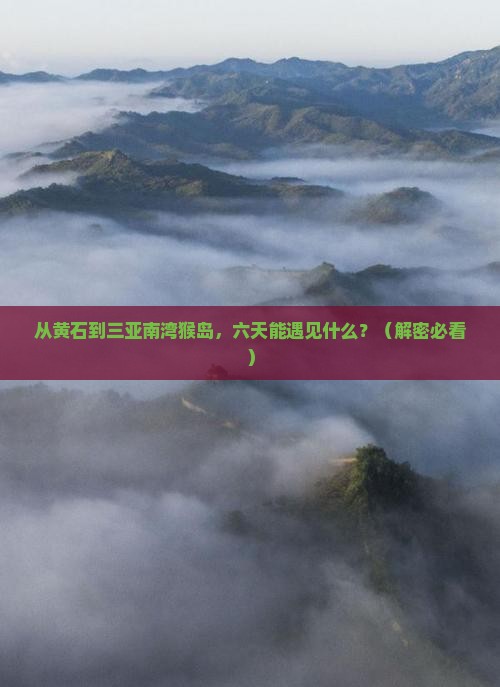 黄石前往三亚南湾猴岛六日游