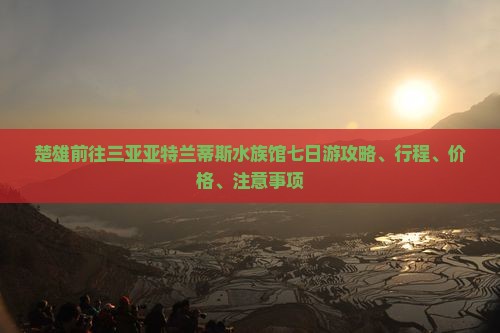 楚雄前往三亚亚特兰蒂斯水族馆七日游