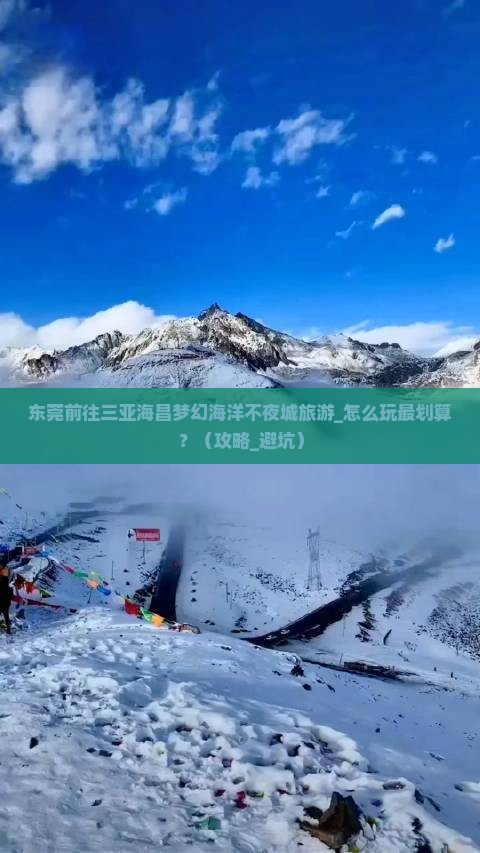 东莞前往三亚海昌梦幻海洋不夜城旅游