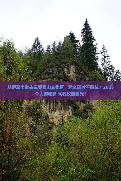 伊犁出发三亚南山文化旅游区个人游