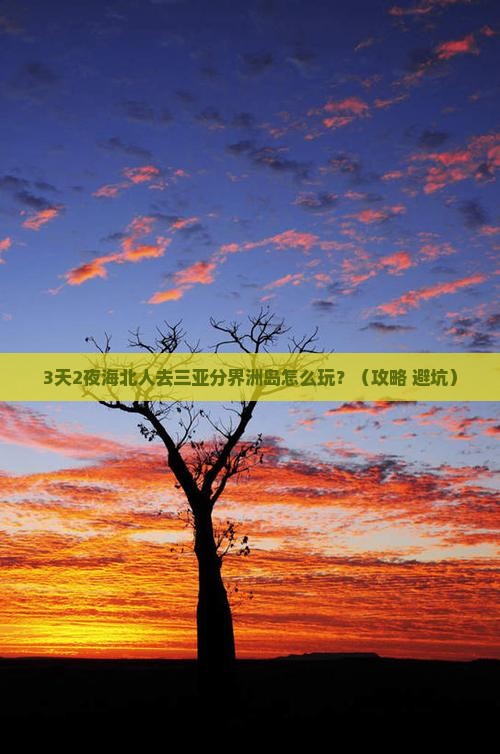 海北去三亚分界洲岛个人游