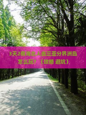 海北去三亚分界洲岛个人游