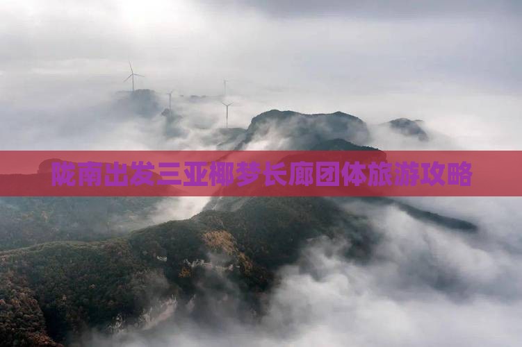 陇南出发三亚椰梦长廊团体旅游