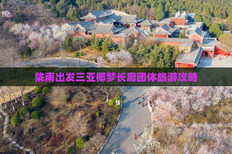陇南出发三亚椰梦长廊团体旅游