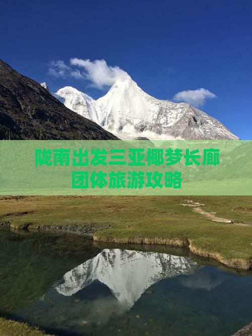 陇南出发三亚椰梦长廊团体旅游