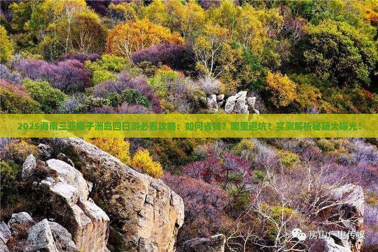 海南去三亚椰子洲岛四日游 海南去三亚椰子洲岛四日游