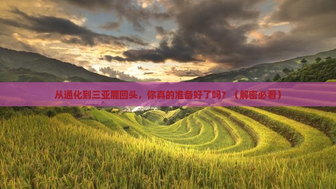 通化去三亚鹿回头攻略