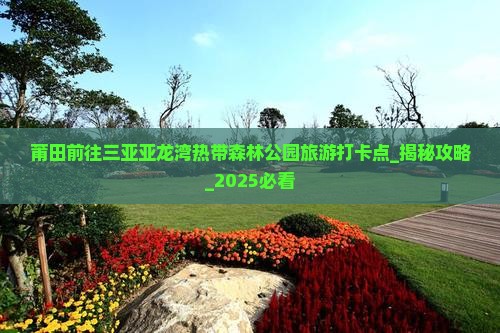 莆田前往三亚亚龙湾热带森林公园旅游打卡点