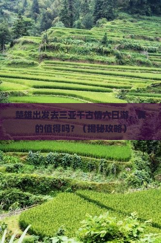 楚雄去三亚千古情六日游