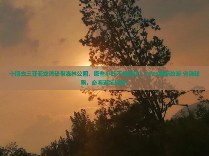 十堰前往三亚亚龙湾热带森林公园旅游小吃