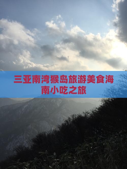 荆门出发三亚南湾猴岛旅游小吃