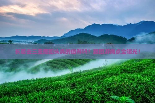 长葛去三亚鹿回头团体旅游