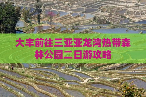 大丰前往三亚亚龙湾热带森林公园二日游