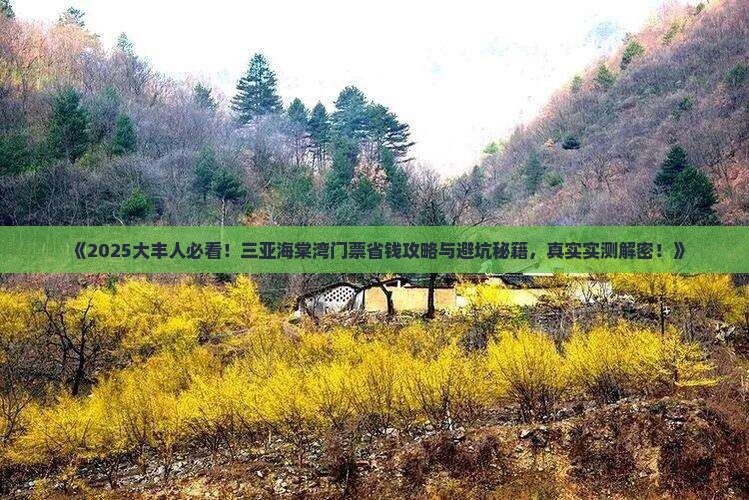 大丰前往三亚海棠湾门票