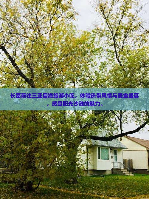 长葛前往三亚后海旅游小吃