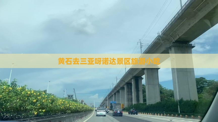 黄石去三亚呀诺达景区旅游小吃