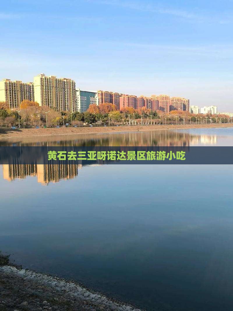 黄石去三亚呀诺达景区旅游小吃
