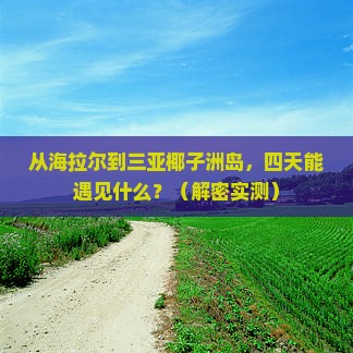 海拉尔出发三亚椰子洲岛四日游