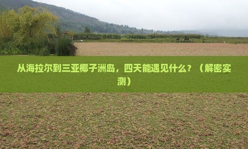 海拉尔出发三亚椰子洲岛四日游