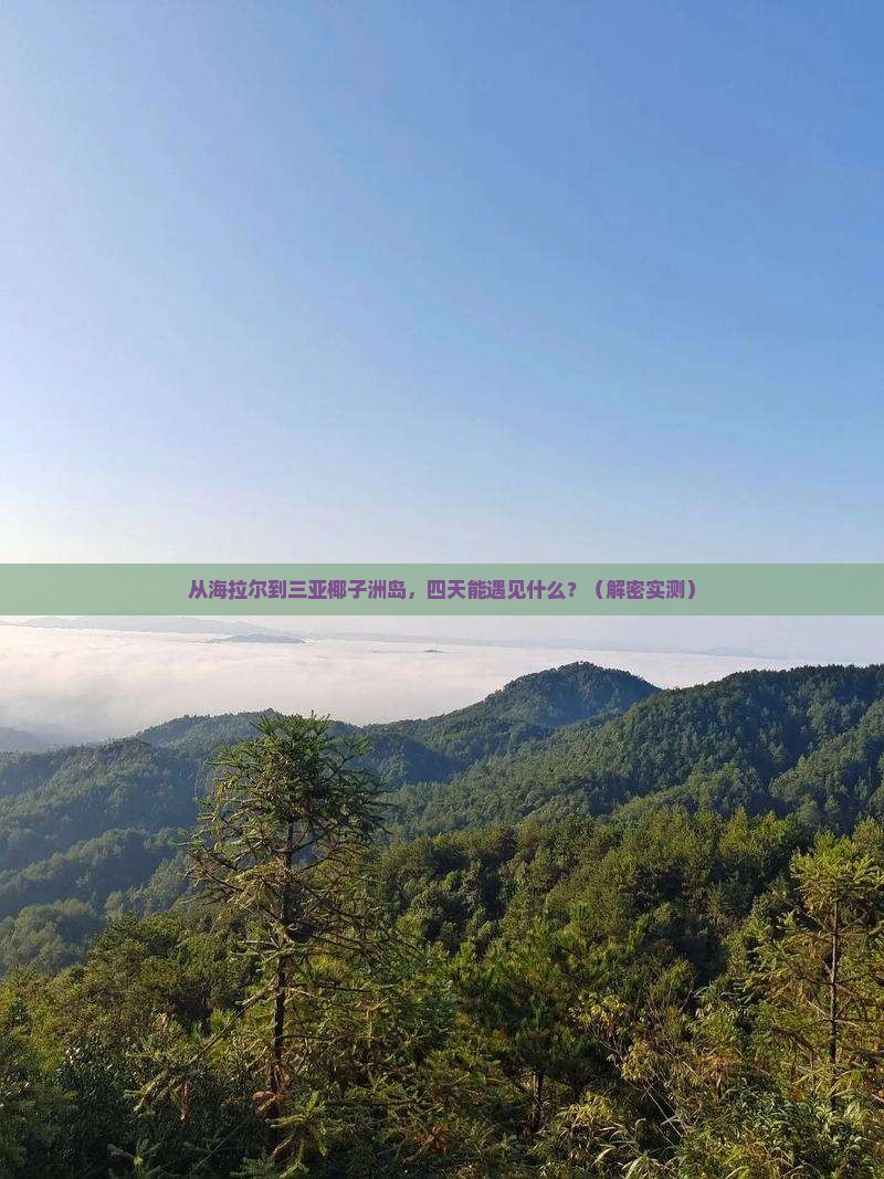 海拉尔出发三亚椰子洲岛四日游