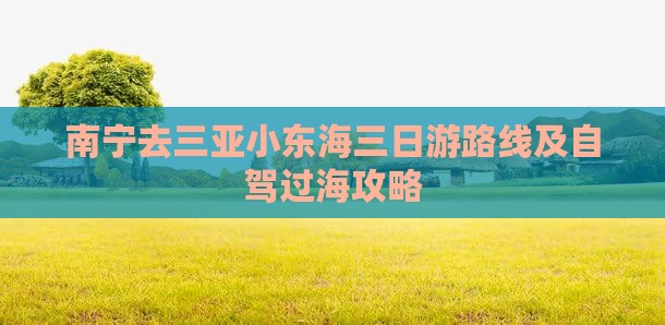 南宁去三亚小东海三日游