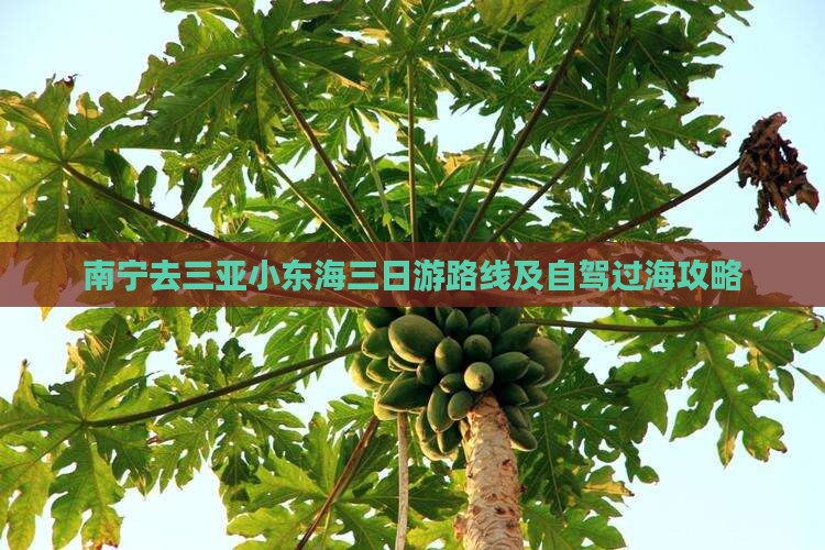 南宁去三亚小东海三日游