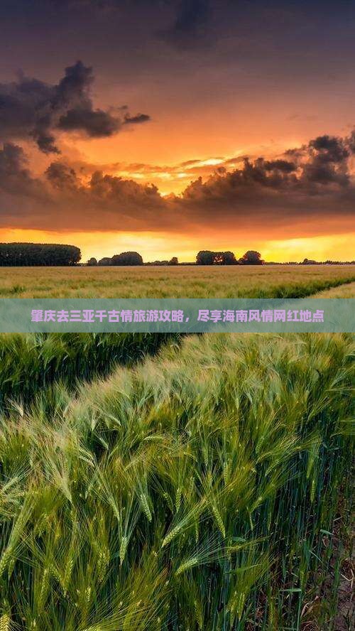 肇庆去三亚千古情旅游网红地点