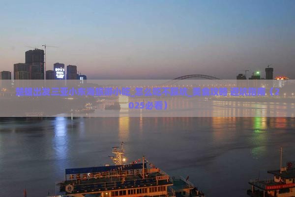 楚雄出发三亚小东海旅游小吃