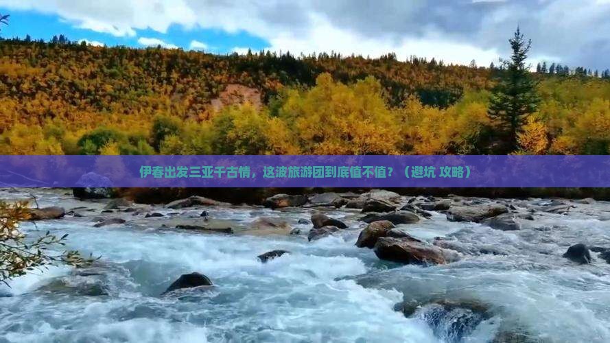 伊春出发三亚千古情大型旅游团