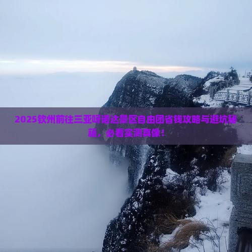 钦州前往三亚呀诺达景区自由团 钦州前往三亚呀诺达景区自由团