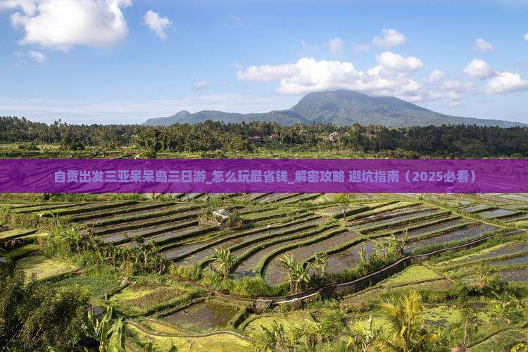 自贡出发三亚呆呆岛三日游