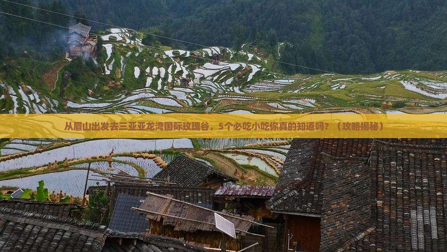 眉山出发三亚亚龙湾国际玫瑰谷旅游小吃