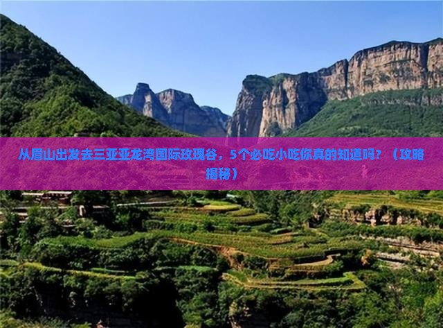 眉山出发三亚亚龙湾国际玫瑰谷旅游小吃