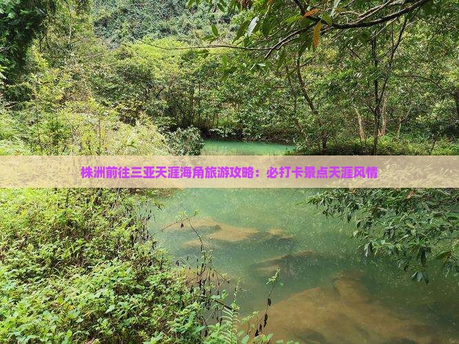 株洲前往三亚天涯海角旅游打卡点
