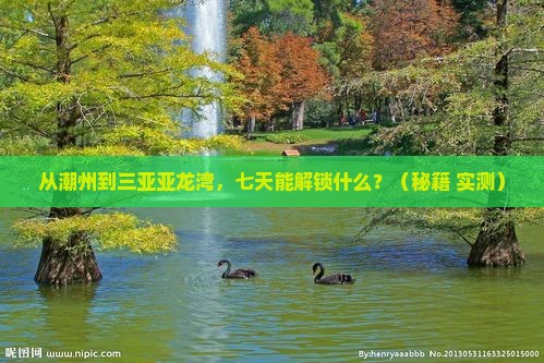 潮州去三亚亚龙湾七日游