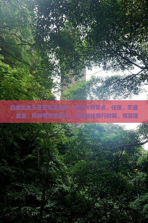 白城出发三亚亚龙湾旅游