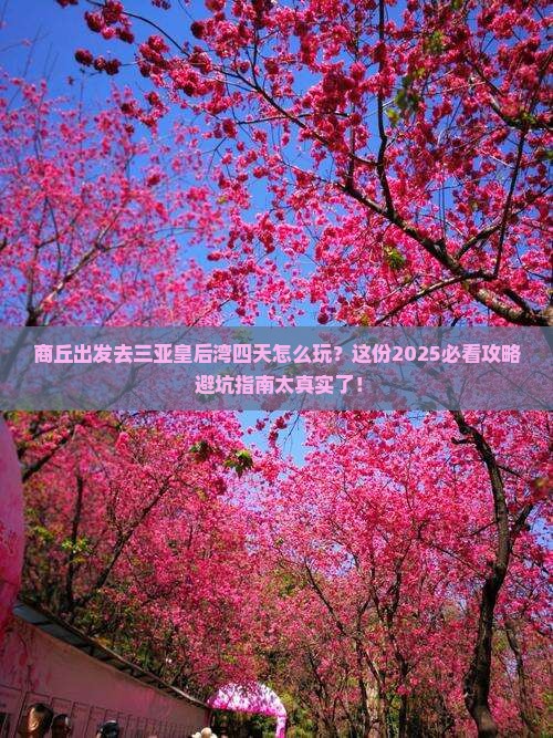 商丘出发三亚皇后湾四日游