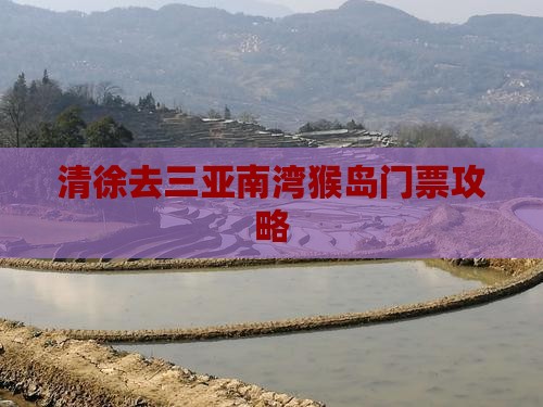清徐去三亚南湾猴岛门票